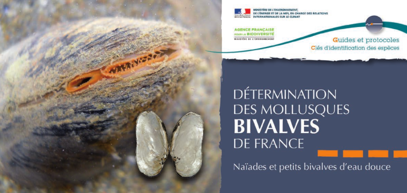 GP2017-Cles_MollusquesBivalvesFrance_couv