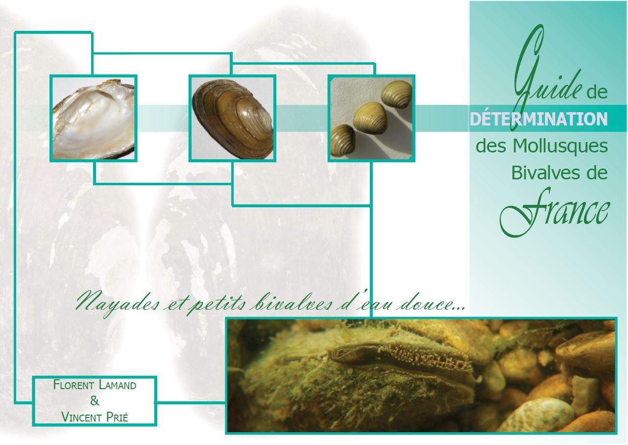 guide_determination_mollusques_bivalves_de_france