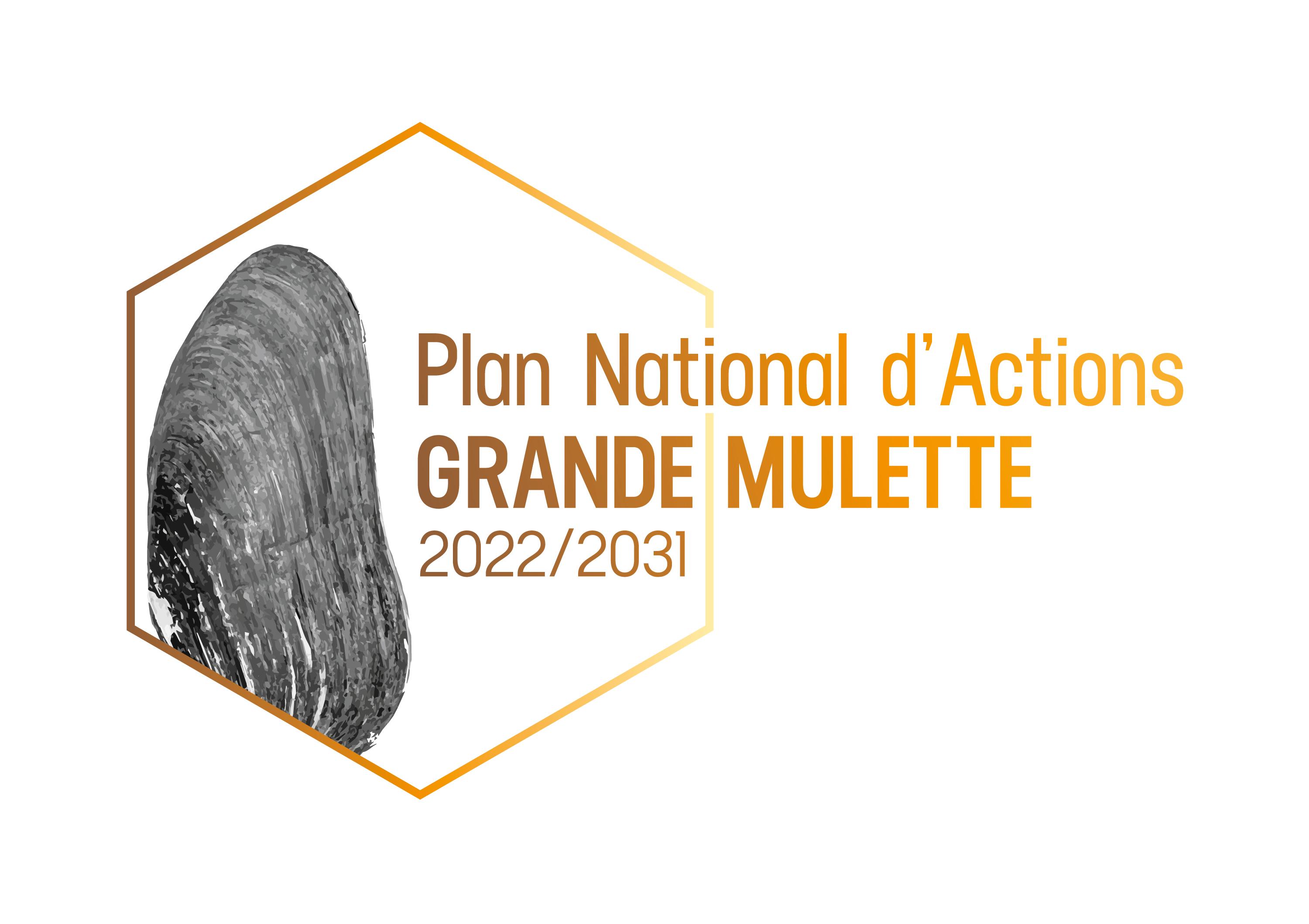 PNA Grande mulette
